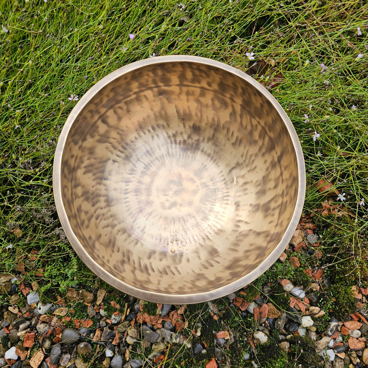 Full moon singing bowl ø 23.5 cm in B