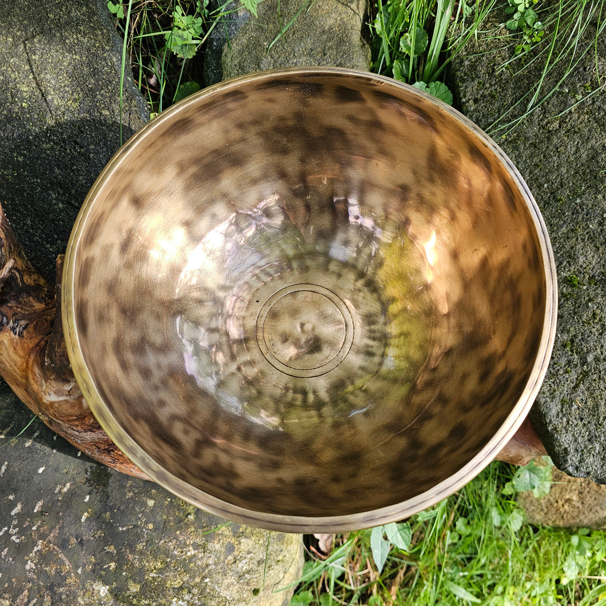 Full moon singing bowl ø 24 cm in F#