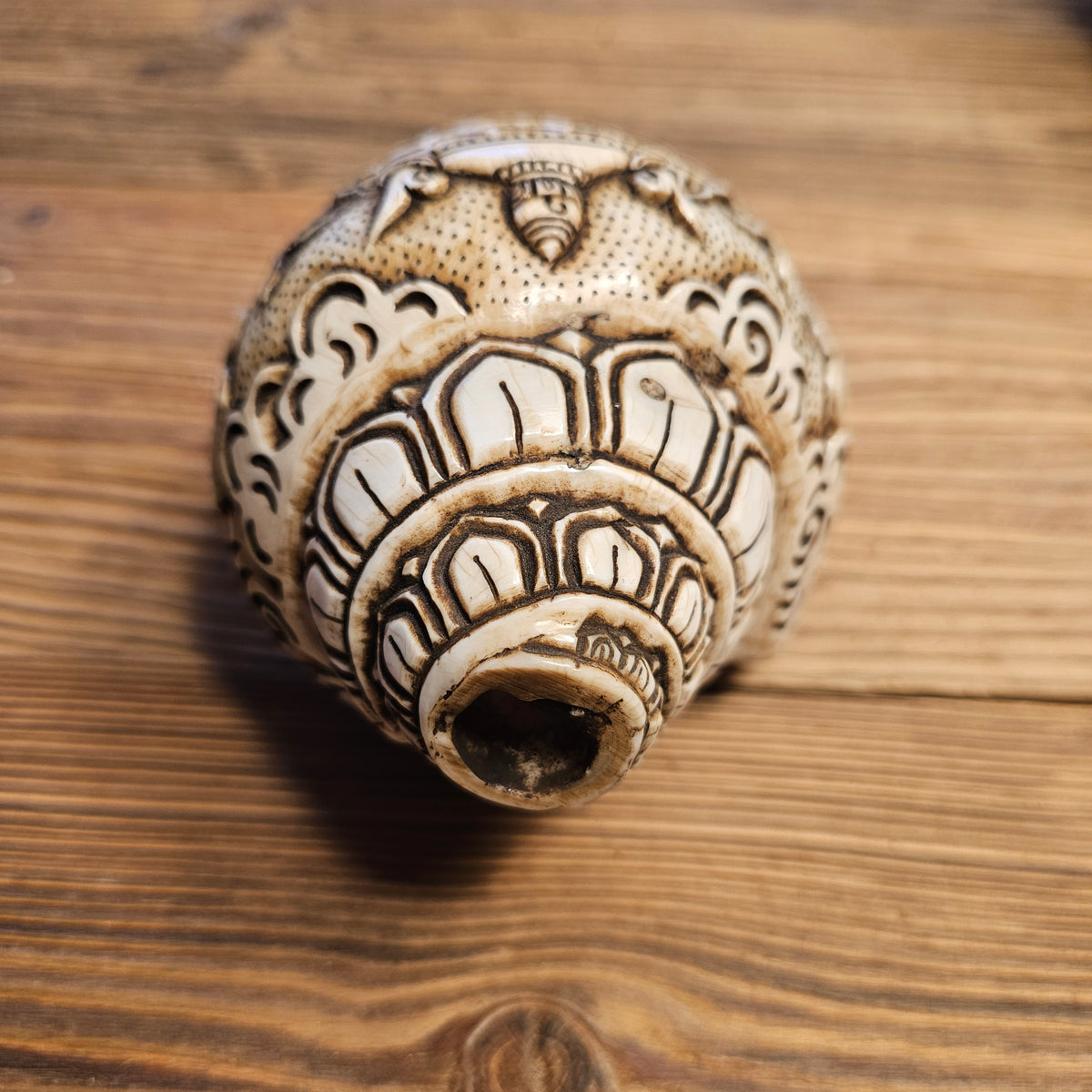 Conch shell wheel of Dharma