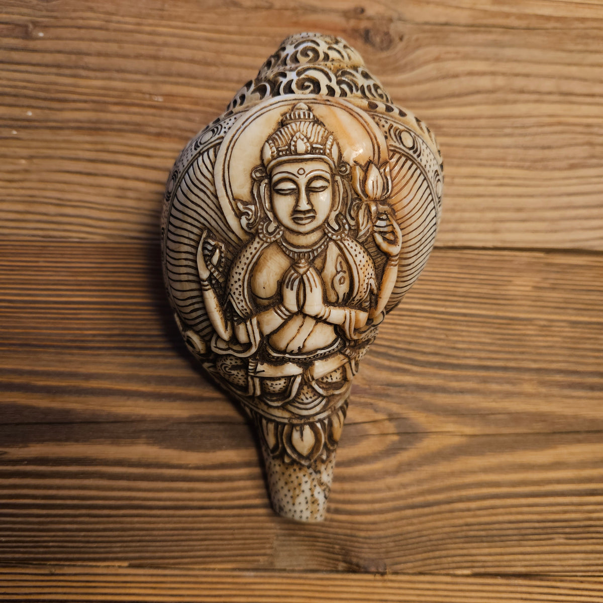 Muschelhorn Manjushri