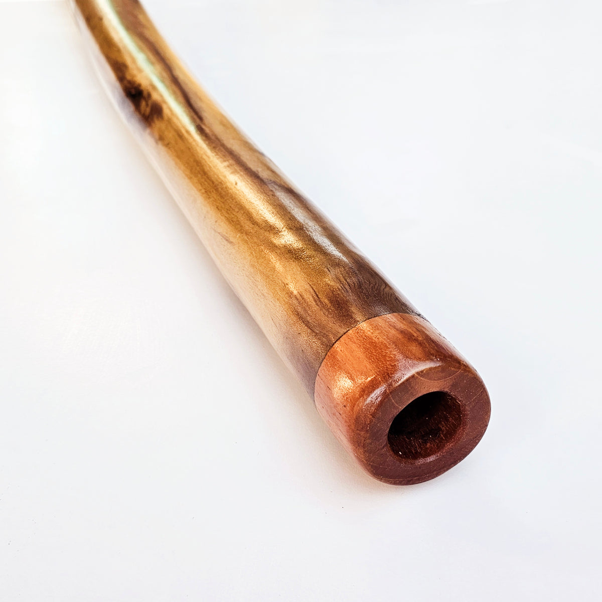 Proline Didgeridoo Hibiskus | Didgeridoo| Dunum.ch