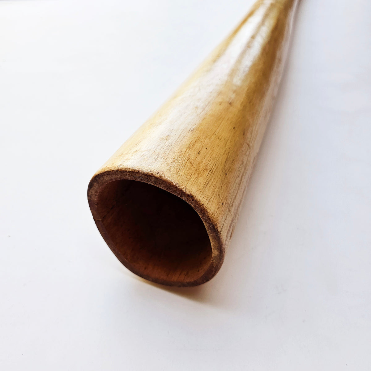 Proline Didgeridoo Hibiskus | Didgeridoo| Dunum.ch