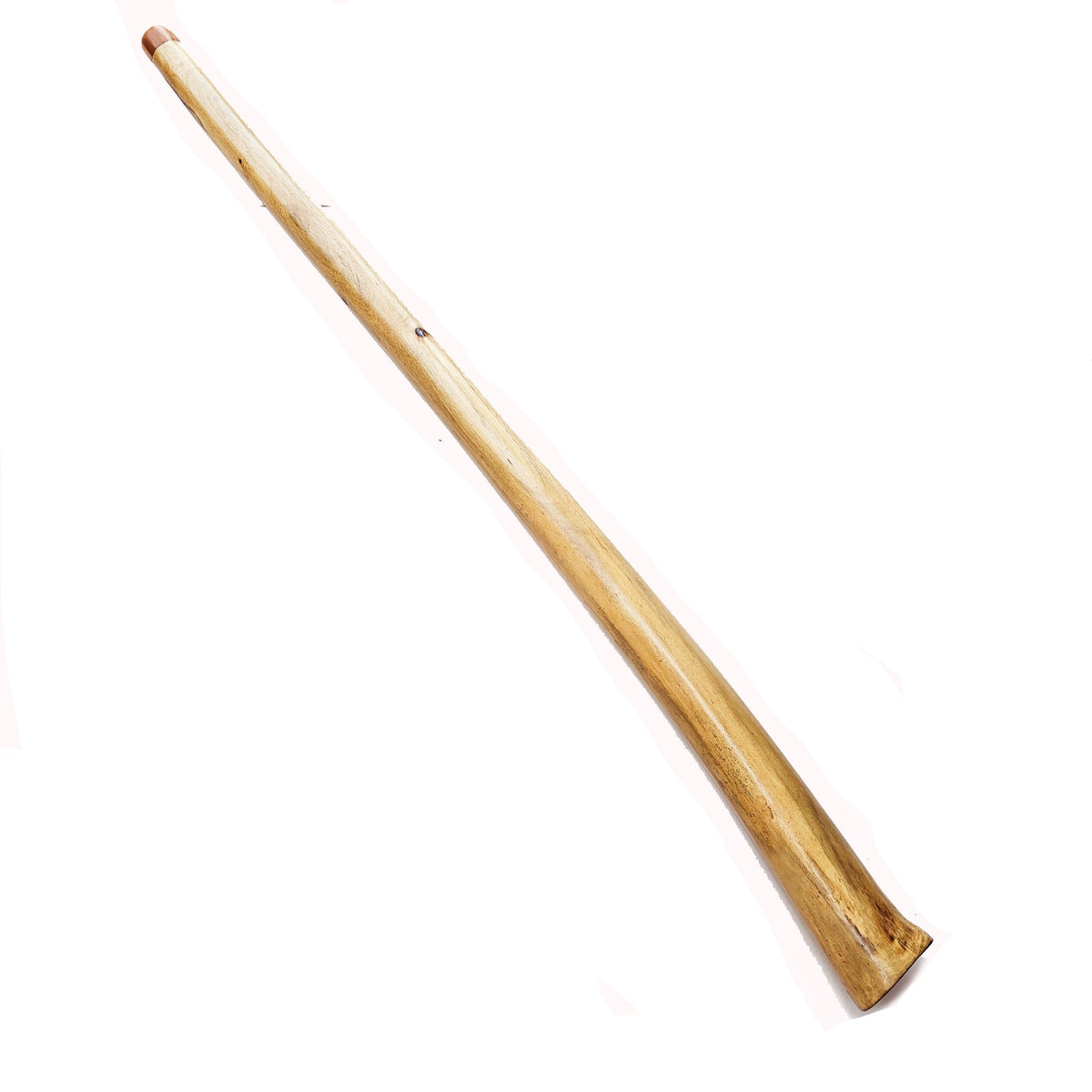 Proline Didgeridoo Hibiskus | Didgeridoo| Dunum.ch