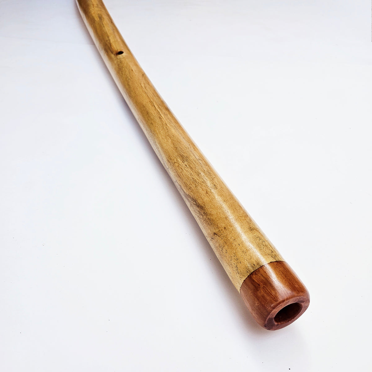 Proline Didgeridoo Hibiskus | Didgeridoo| Dunum.ch