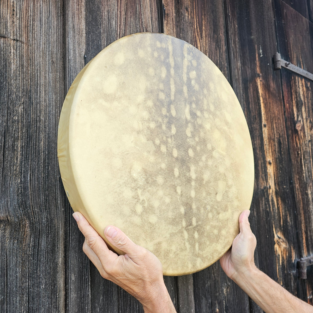 Tambour de chaman de la nouvelle lune ø 45 cm - accordable - cerf de barrage