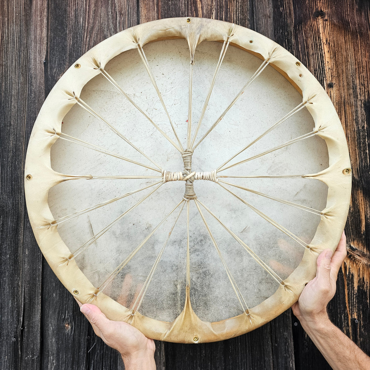 New moon shaman drum ø 50 cm - tunable - red deer