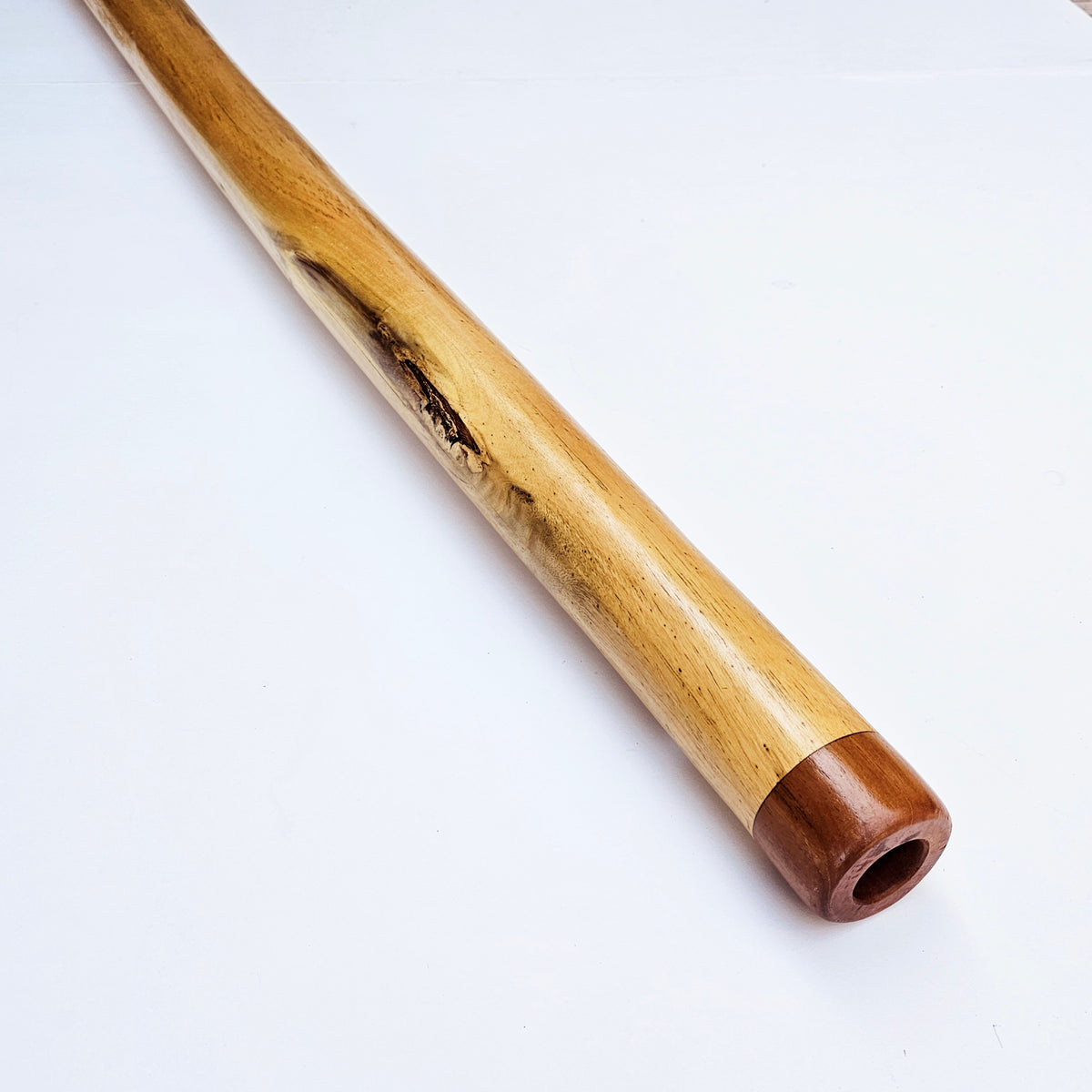 Proline Didgeridoo Hibiskus| Didgeridoo| Dunum.ch