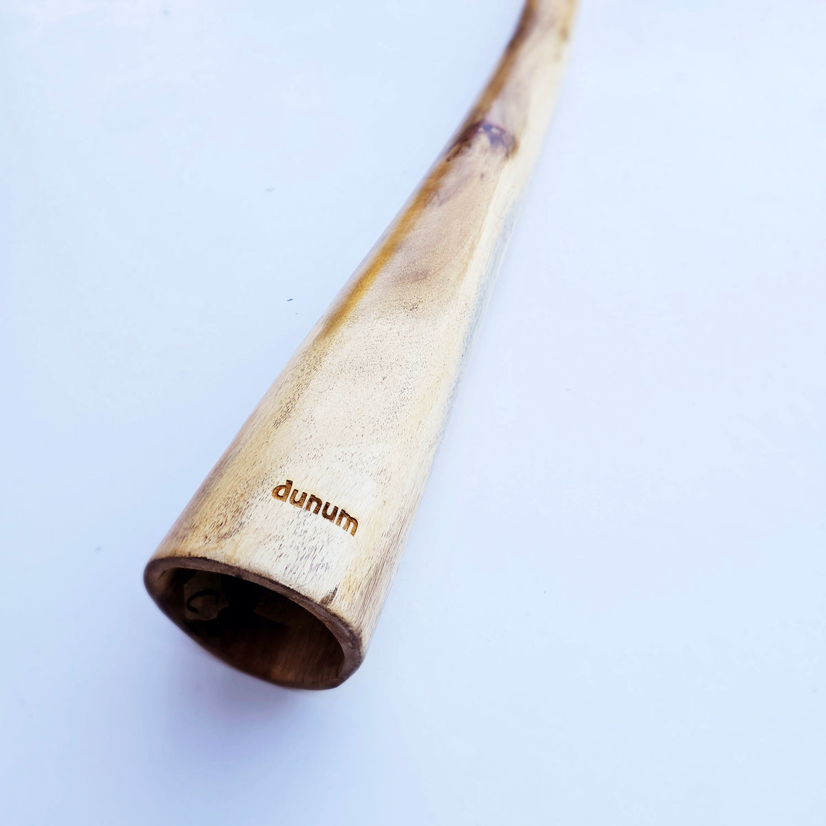 Proline Didgeridoo Eukalyptus| Didgeridoo| Dunum.ch