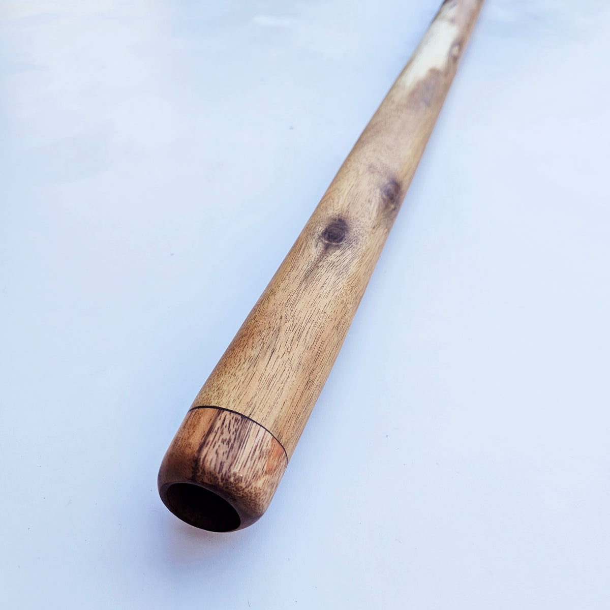 Proline Didgeridoo Eukalyptus| Didgeridoo| Dunum.ch