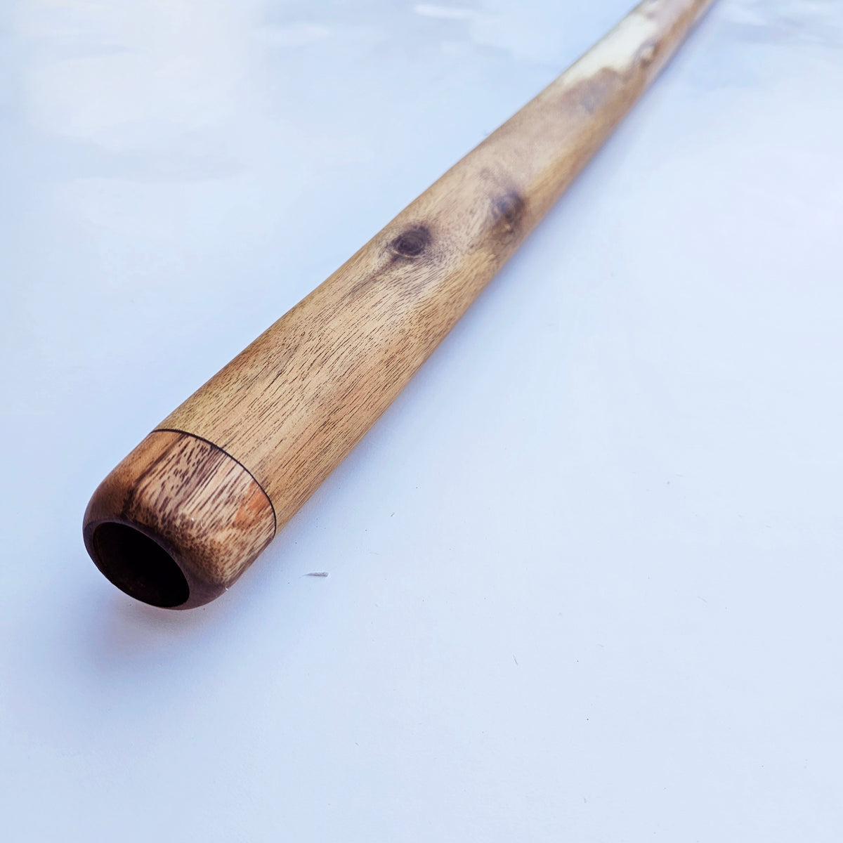 Proline Didgeridoo Eukalyptus| Didgeridoo| Dunum.ch