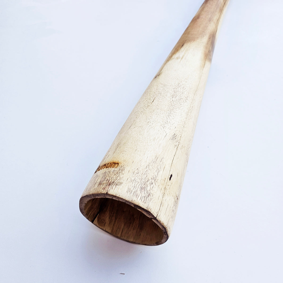 Proline Didgeridoo Eukalyptus| Didgeridoo| Dunum.ch