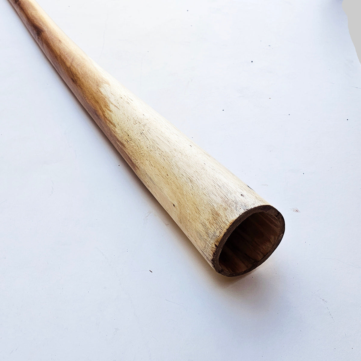 Proline Didgeridoo Eukalyptus| Didgeridoo| Dunum.ch