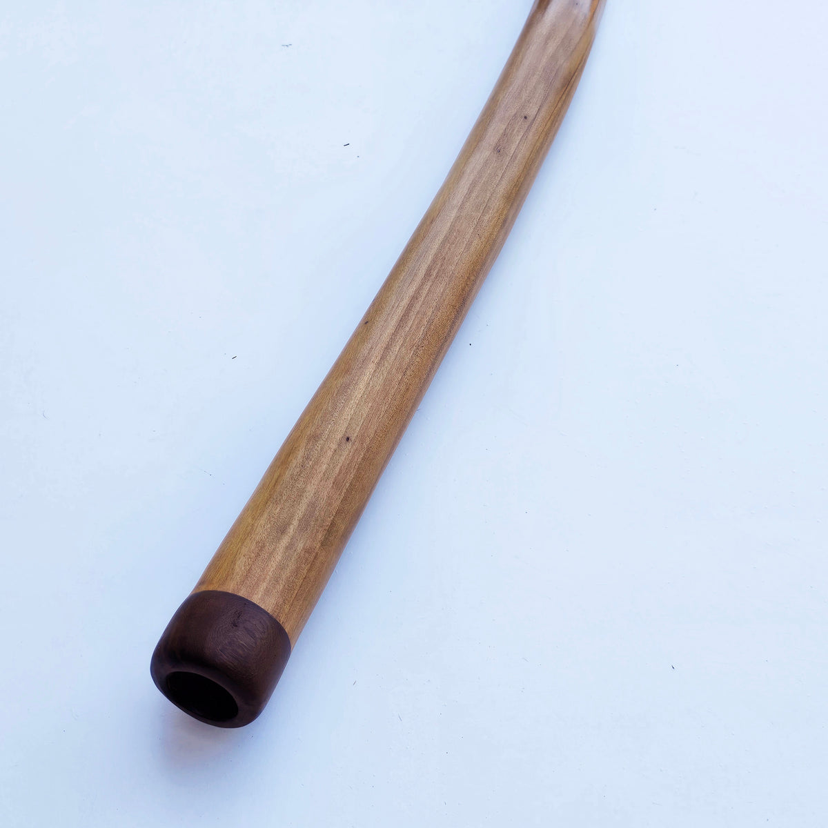 Proline Didgeridoo Eukalyptus| Didgeridoo| Dunum.ch