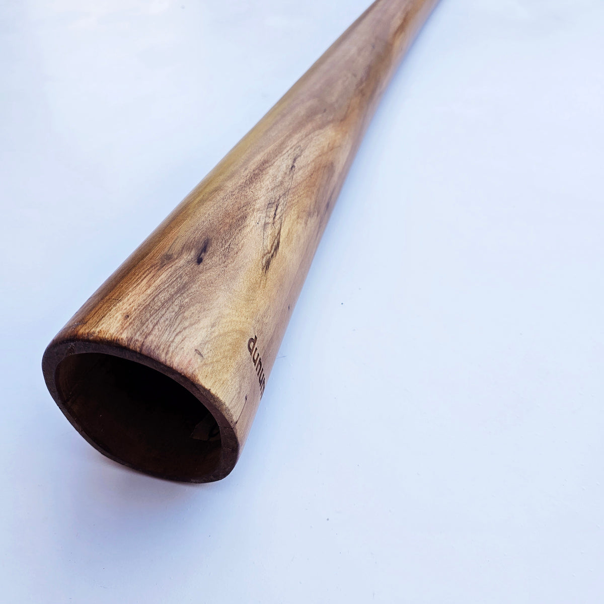 Proline Didgeridoo Eukalyptus| Didgeridoo| Dunum.ch