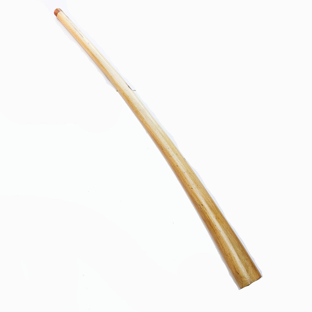 Proline Didgeridoo Hibiskus| Didgeridoo| Dunum.ch