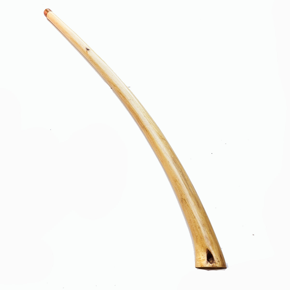 Proline Didgeridoo Eukalyptus| Didgeridoo| Dunum.ch