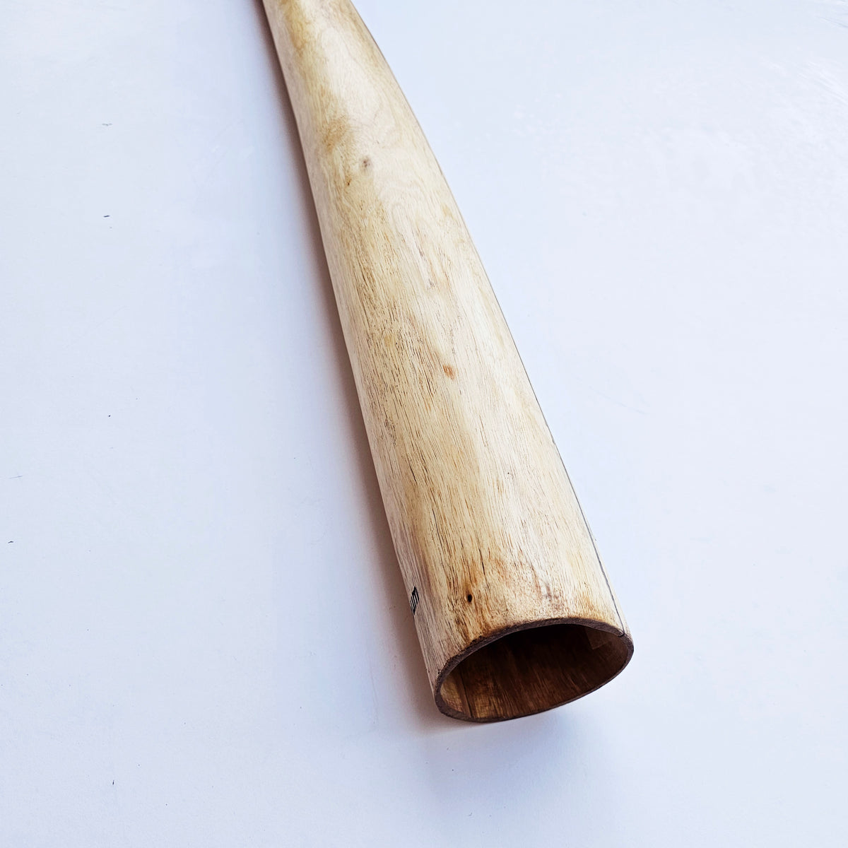 Proline Didgeridoo Eukalyptus| Didgeridoo| Dunum.ch