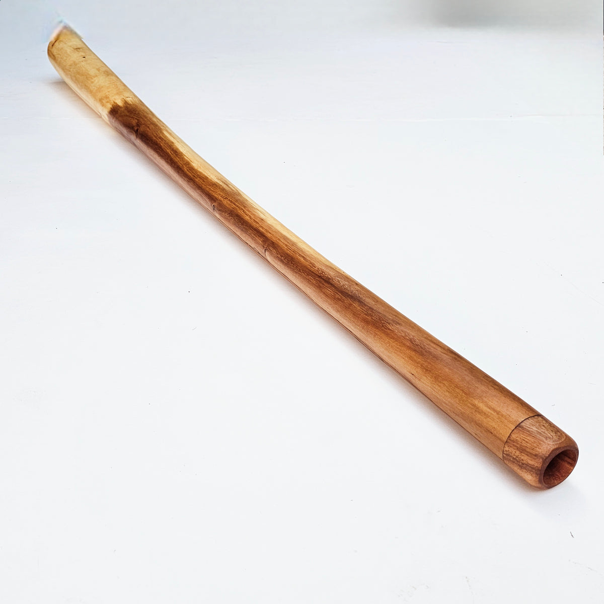 Proline Didgeridoo Eukalyptus| Didgeridoo| Dunum.ch