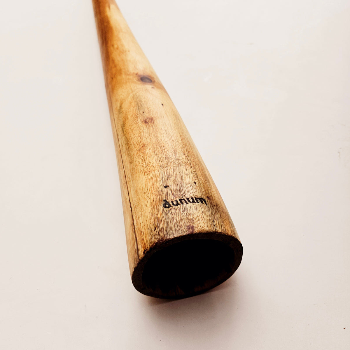 Proline Didgeridoo Eukalyptus| Didgeridoo| Dunum.ch