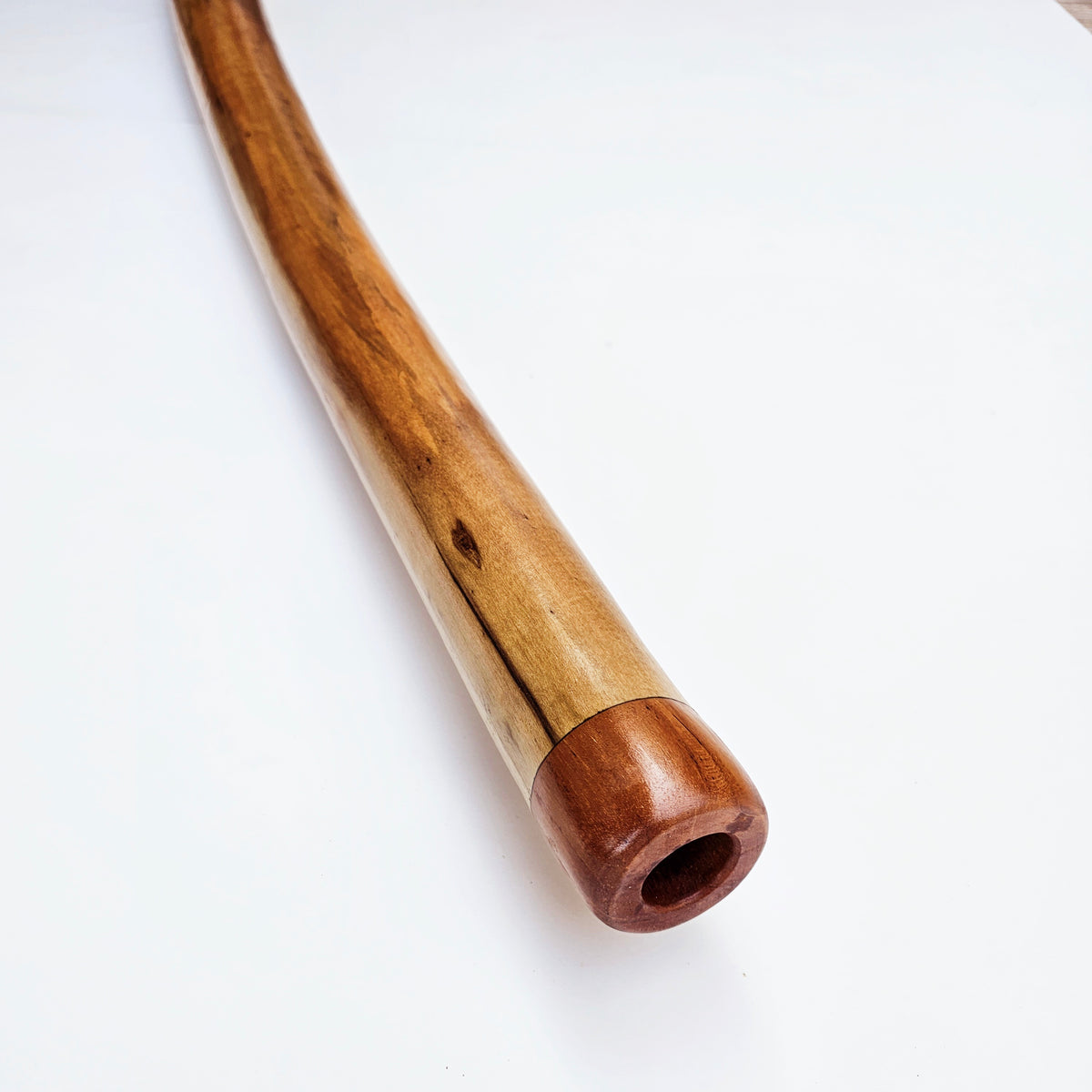 Proline Didgeridoo Hibiskus | Didgeridoo| Dunum.ch