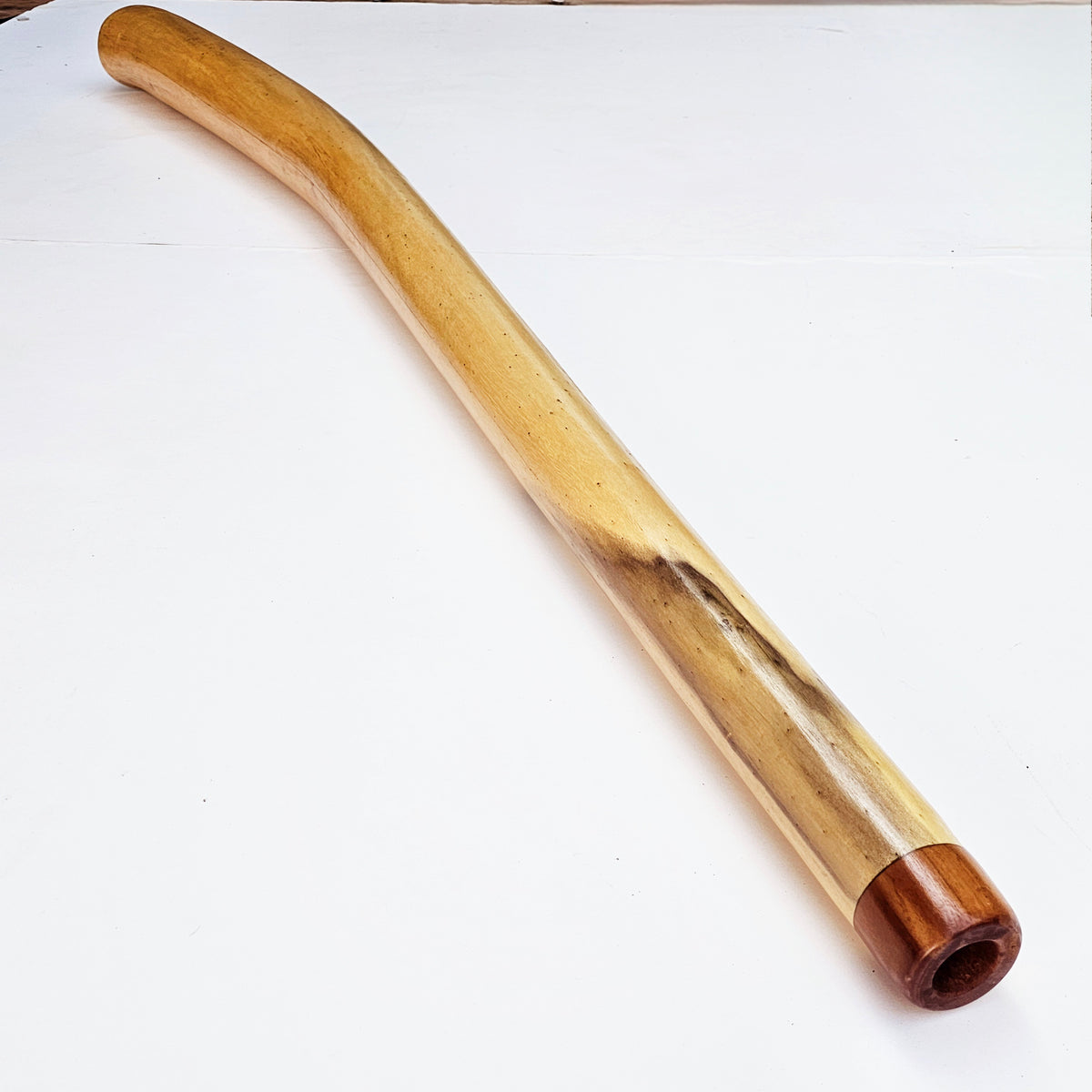 Proline Didgeridoo Hibiskus | Didgeridoo| Dunum.ch