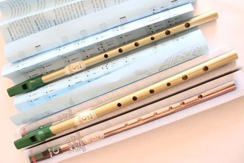 Irische Tin Whistle C - Waltons | Blasinstrumente | Tin Whistle Welt | Dunum.ch