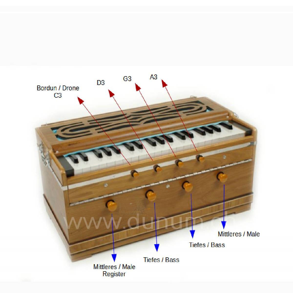 Harmonium Premium von Paloma - 39 Tasten - Doppelzungen - 4 Borduntöne