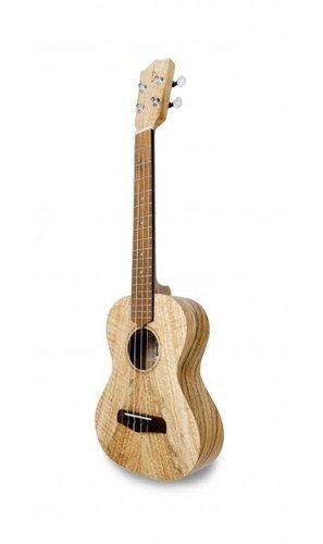 Ukulele Tenor Eiche mit Tasche | Saiteninstrumente | Ukulele, Eco Guitarre &amp; Bass | Dunum.ch